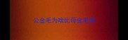 公金毛为啥比母金毛贵