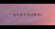 金毛多大可以梳毛
