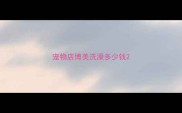 宠物店博美洗澡多少钱