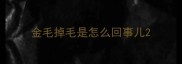 金毛掉毛是怎么回事儿