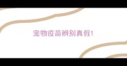 宠物疫苗辨别真假