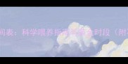 狗狗一日三餐最佳时间表科学喂养指南与黄金时段附不同体型年龄对照
