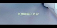 泰迪眼睛有红血丝