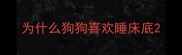 为什么狗狗喜欢睡床底
