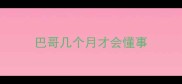 巴哥几个月才会懂事