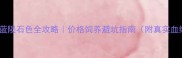 边境牧羊犬蓝陨石色全攻略价格饲养避坑指南附真实血统证书参考