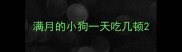 满月的小狗一天吃几顿