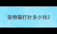 宠物猫打针多少钱