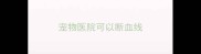 宠物医院可以断血线