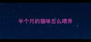 半个月的猫咪怎么喂养