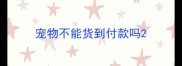 宠物不能货到付款吗