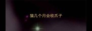 猫几个月会收爪子