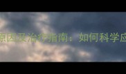 猫咪白内障症状原因及治疗指南如何科学应对并延长爱宠寿命