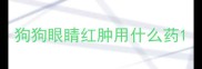 狗狗眼睛红肿用什么药