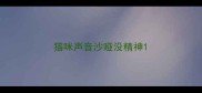 猫咪声音沙哑没精神
