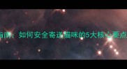 宠物运输指南如何安全寄送猫咪的5大核心要点与全流程