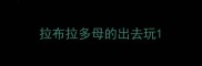 拉布拉多母的出去玩