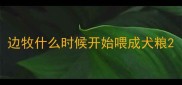 边牧什么时候开始喂成犬粮