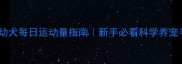 金毛幼犬每日运动量指南新手必看科学养宠手册