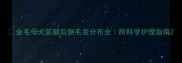 金毛母犬前腿后侧毛发分布全附科学护理指南
