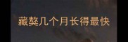 藏獒几个月长得最快