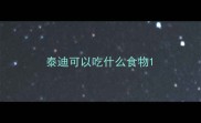 泰迪可以吃什么食物