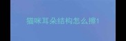 猫咪耳朵结构怎么擦