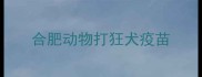 合肥动物打狂犬疫苗