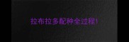 拉布拉多配种全过程