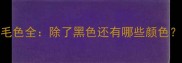 拉布拉多犬毛色全除了黑色还有哪些颜色附饲养指南