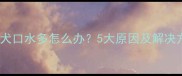拉布拉多犬口水多怎么办5大原因及解决方法全