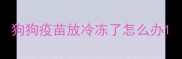狗狗疫苗放冷冻了怎么办