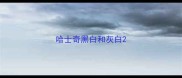 哈士奇黑白和灰白