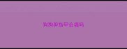 狗狗剪指甲会痛吗