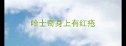 哈士奇身上有红疮