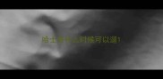 哈士奇什么时候可以遛