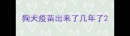 狗犬疫苗出来了几年了