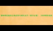 猫咪喂奶瓶的正确姿势与哺乳技巧新手必看科学喂养指南