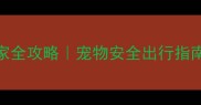 过年带宠物回家全攻略宠物安全出行指南附行李清单
