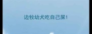 边牧幼犬吃自己屎
