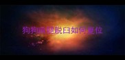 狗狗前腿脱臼如何复位