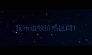 狗市边牧价格区间