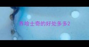 养哈士奇的好处多多
