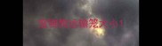 宠物狗运输笼大小