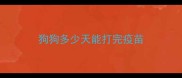 狗狗多少天能打完疫苗