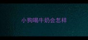 小狗喝牛奶会怎样