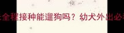 宠物疫苗未全程接种能遛狗吗幼犬外出必看注意事项