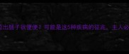 狗狗拉出肠子状便便可能是这5种疾病的征兆主人必看