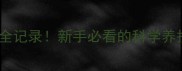 拉布拉多配种后30天全记录新手必看的科学养护指南附注意事项