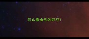 怎么看金毛的好坏